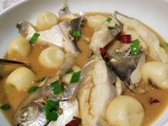 家烧东海鲳鱼-广舟(千禧店)