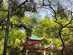 -岳麓山风景名胜区