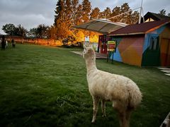 -太阳岛度假酒店