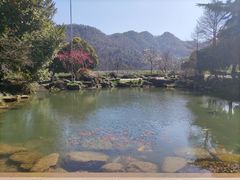 -中国茶叶博物馆(双峰馆区)
