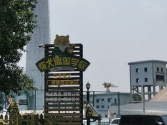 -柴犬高等学院·狗咖·柴犬售卖·宠物训练