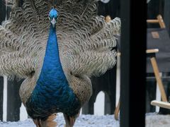 -J Create城市露营咖啡·简餐·宠物(上海动物园店)