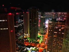 -东京都厅舍