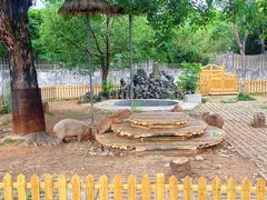 -合肥野生动物园