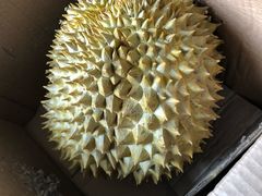 -百果园(奕淳公寓店)