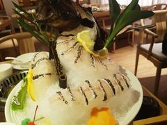 龙趸-尚海豆捞(乐虹坊店)