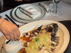 -子福慧(虹桥店)