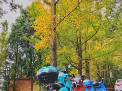 -金堂县云顶石城风景区