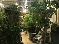 -双季花艺园艺市场(浦东店)