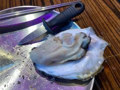 -蚝堡海鲜·威海菜·海肠捞饭·烧烤·亚洲吃蚝公司(幸福门店)