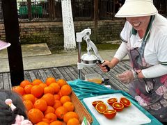 -洪湖家庭农场·团建·露营·会议