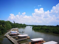 -东寨港红树林旅游区