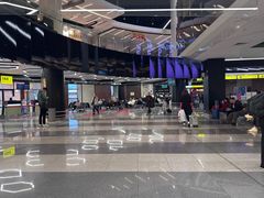 -谢列梅捷沃国际机场