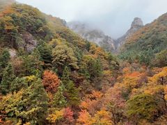 -明堂山风景区