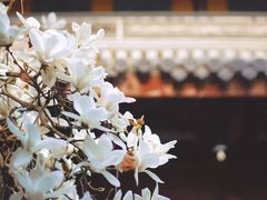 -龙华寺