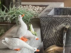-聚宾楼·烤鸭·家宴(科技三路店)