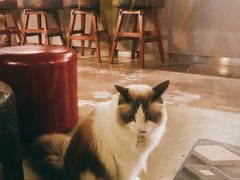 -咖法森林·咖啡  酒吧(天河店)