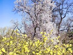 -元大都城垣遗址公园