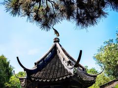 -上海醉白池公园
