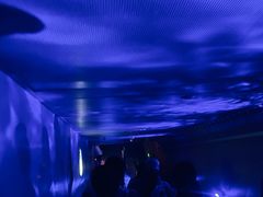 -白鹤梁水下博物馆