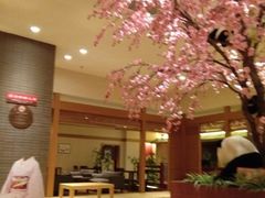 -大江户·温泉洗浴(浑南店)