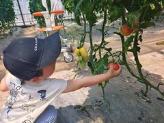 -兴芮温泉度假区