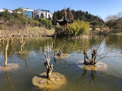 -井冈山风景名胜区