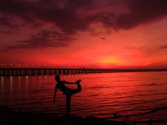 -宝安西湾红树林湿地公园