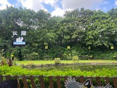 -广州长隆飞鸟乐园