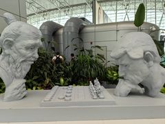 -广州白云国际机场-T2航站楼