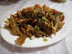 -彭大姐老店黄辣丁(新津店)