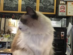 -咖法森林·咖啡  酒吧(天河店)