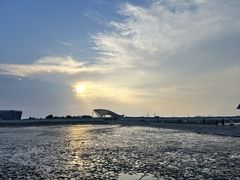 -南汇嘴观海公园