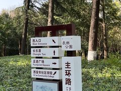 -西安市长乐公园