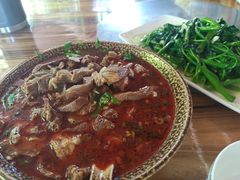 红汤碗碗羊肉-老桥张羊肉