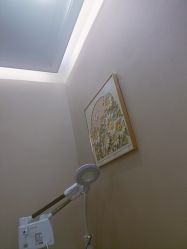 -贞禾医美·连锁