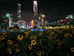 -海心沙亚运公园