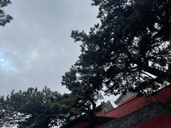 -妙峰山风景名胜区