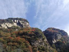 -秦岭风景区