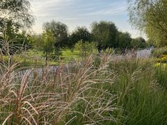 -汉长安城未央宫国家考古遗址公园