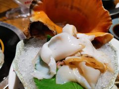 大海螺片-阳光岛·海鲜盛宴(银泰中心in99店)