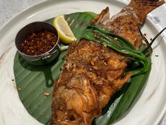 -Aqua Oasis 水天堂(常熟永旺店)