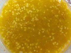 -全统永和豆浆(扬村三路店)