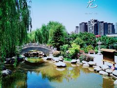 -西安青龙寺遗址景区
