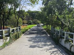 -昆山城市生态森林公园