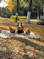 -可乐大王自然光儿童摄影(园区店)