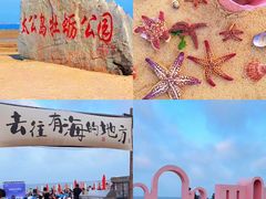 -日照海滨国家森林公园