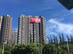 -深圳大学总医院