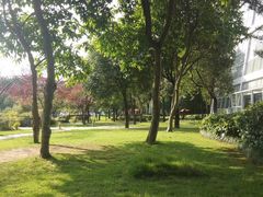 -沙河三洞古桥公园