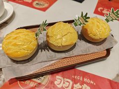 -羽鸽集·乳鸽专门店·地道顺德菜(岭南站店)